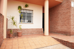 Patio delantero con macetas y acceso a la vivienda en chalet adosado en Alcalá del Río